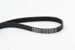 CONTINENTAL CTAM  Soonrihm 6PK905 EXTRA