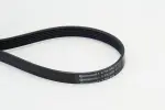 CONTINENTAL CTAM  Soonrihm 6PK948