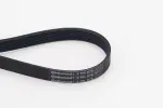 CONTINENTAL CTAM  Soonrihm 6PK976