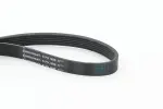 CONTINENTAL CTAM  Soonrihm 6PK986