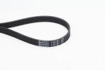 CONTINENTAL CTAM Soonrihm 6PK991