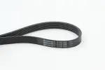 CONTINENTAL CTAM Soonrihm 6PK995