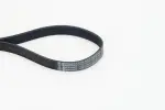 CONTINENTAL CTAM  Soonrihm 7PK1051 ELAST