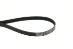 CONTINENTAL CTAM Soonrihm 7PK1195 ELAST