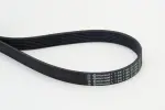 CONTINENTAL CTAM  Soonrihm 7PK1196 EXTRA