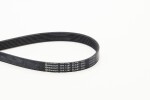 CONTINENTAL CTAM 7PK1257 ELAST