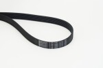 CONTINENTAL CTAM Soonrihm 7PK1685 EXTRA