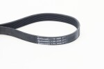 CONTINENTAL CTAM  Soonrihm 7PK2000