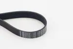 CONTINENTAL CTAM  Soonrihm 8PK1162 EXTRA
