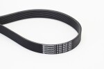 CONTINENTAL CTAM  Soonrihm 8PK2035