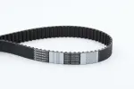 CONTINENTAL CTAM Hammasrihm CT1000