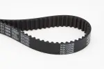 CONTINENTAL CTAM  Hammasrihm CT1024