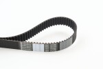 CONTINENTAL CTAM Hammasrihm CT1027