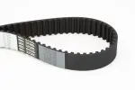 CONTINENTAL CTAM Hammasrihm CT1034