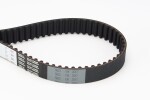 CONTINENTAL CTAM  Hammasrihm CT1047
