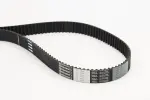 CONTINENTAL CTAM Hammasrihm CT1050