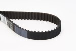 CONTINENTAL CTAM Hammasrihm CT1061