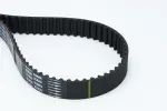 CONTINENTAL CTAM Hammasrihm CT1064