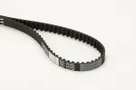CONTINENTAL CTAM Hammasrihm CT1066