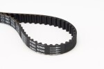 CONTINENTAL CTAM  Hammasrihm CT1067
