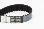 CONTINENTAL CTAM Hammasrihm CT1100