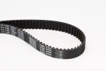 CONTINENTAL CTAM Hammasrihm CT1106