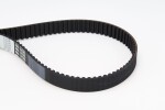 CONTINENTAL CTAM Hammasrihm CT1114
