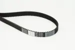 CONTINENTAL CTAM Hammasrihm CT1115