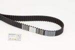 CONTINENTAL CTAM Hammasrihm CT1133