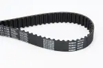 CONTINENTAL CTAM Hammasrihm CT1138