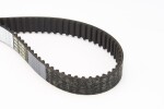 CONTINENTAL CTAM Hammasrihm CT1140