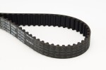 CONTINENTAL CTAM Hammasrihm CT1142