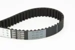 CONTINENTAL CTAM Hammasrihm CT1150