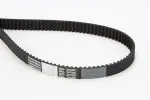 CONTINENTAL CTAM Hammasrihm CT1155