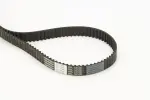 CONTINENTAL CTAM Hammasrihm CT1162