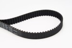 CONTINENTAL CTAM Hammasrihm CT1163