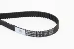 CONTINENTAL CTAM  Hammasrihm CT1167