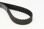 CONTINENTAL CTAM Hammasrihm CT1168