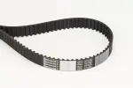 CONTINENTAL CTAM Hammasrihm CT1178