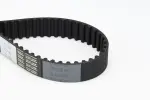 CONTINENTAL CTAM Hammasrihm CT1184