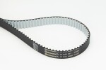 CONTINENTAL CTAM Hammasrihm CT1216