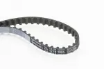 CONTINENTAL CTAM  Hammasrihm CT1218