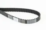CONTINENTAL CTAM Hammasrihm CT1230