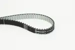 CONTINENTAL CTAM Hammasrihm CT1239
