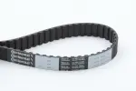 CONTINENTAL CTAM Hammasrihm CT641