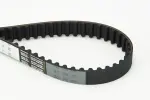 CONTINENTAL CTAM  Hammasrihm CT825