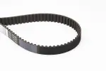 CONTINENTAL CTAM Hammasrihm CT846
