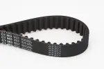 CONTINENTAL CTAM  Hammasrihm CT863