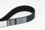 CONTINENTAL CTAM Hammasrihm CT884