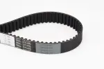 CONTINENTAL CTAM Hammasrihm CT924